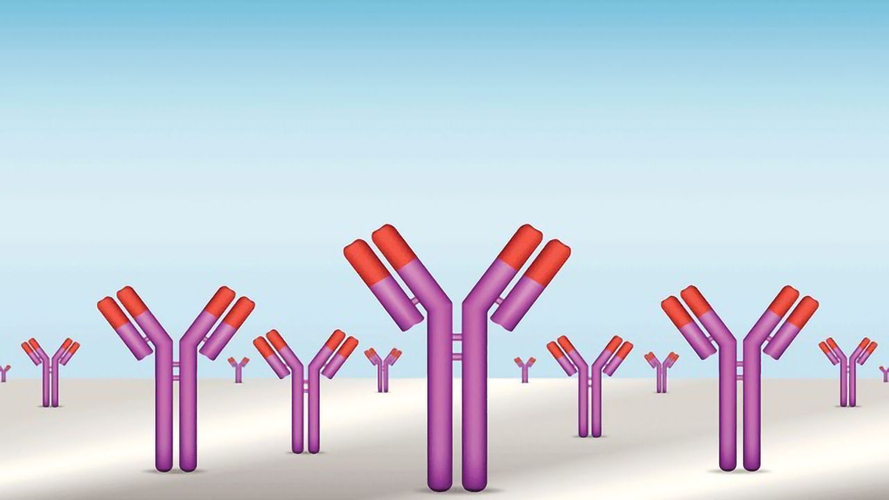 Why Should Antibodies Be Manufactured Recombinantly?