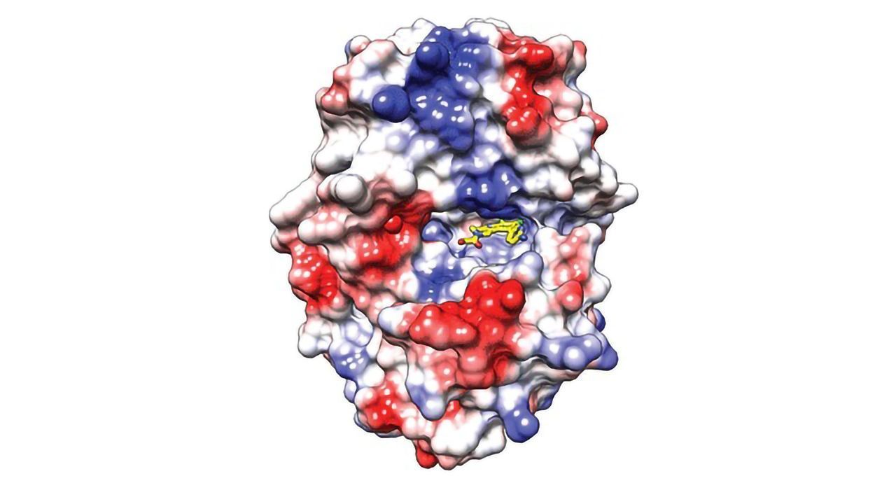 Progress in the Hunt for Drugs Targeting Unwanted Autoimmunity