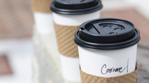 Could Compostable Food Containers Be a Source of PFA Pollution?