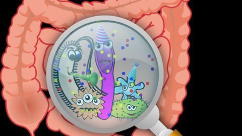 Human Microbiome Project Expands Toolbox for Investigating Host-Microbiome Interactions
