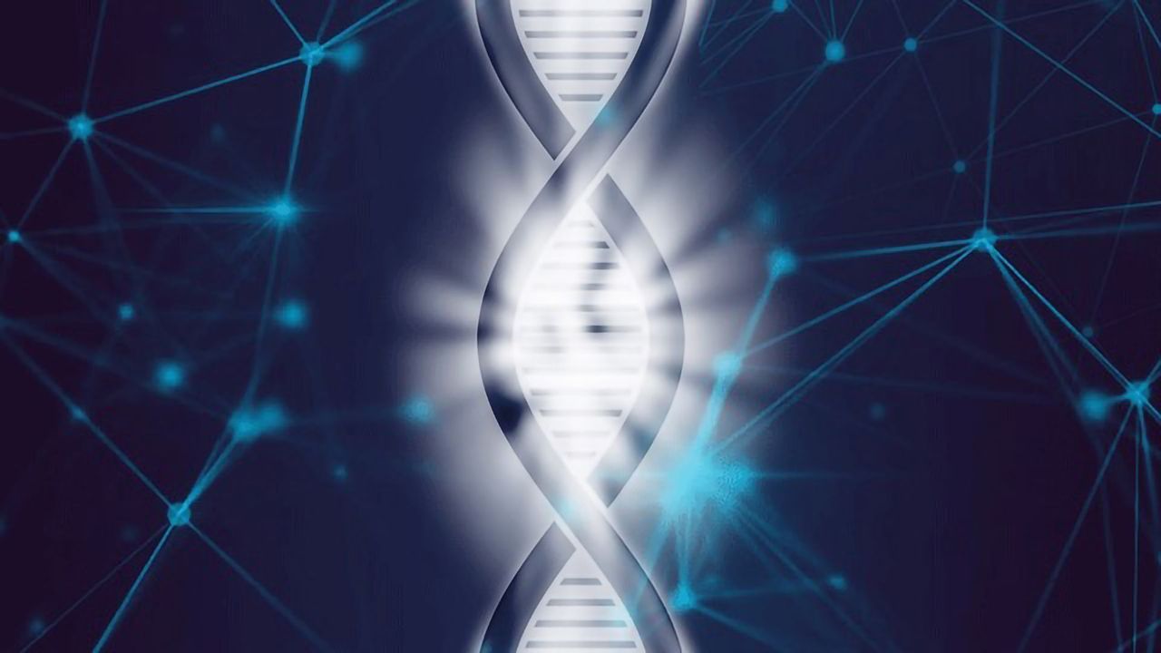 Preventing Kidney Damage From Tiny Virus Following Organ Transplant