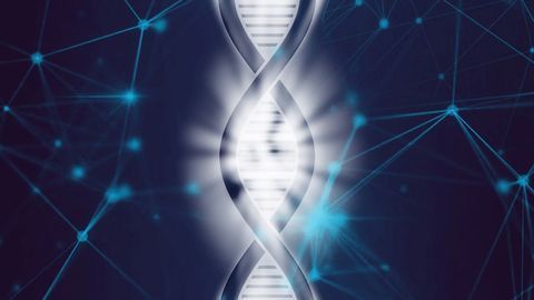 Preventing Kidney Damage From Tiny Virus Following Organ Transplant