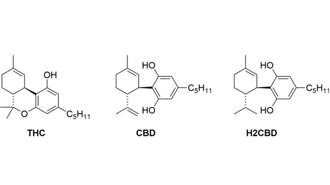 Synthetic CBD Treats Seizures in Rats