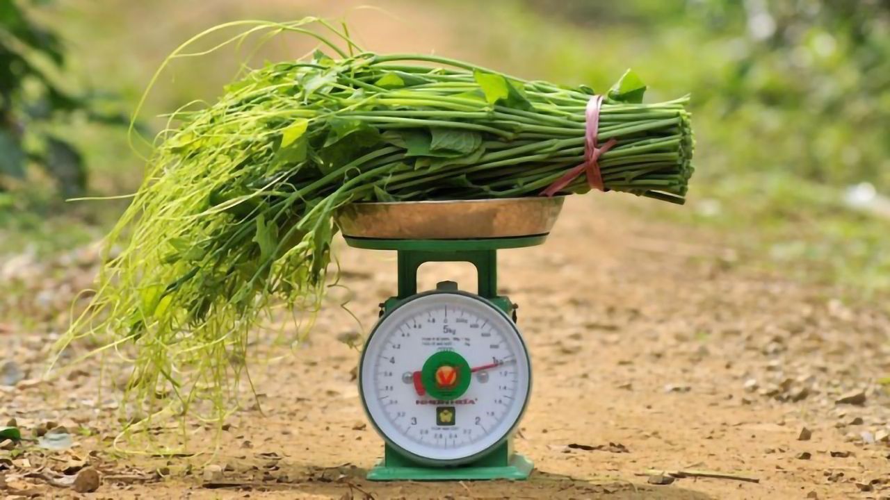 Win-win for Vietnam in Reducing Emissions