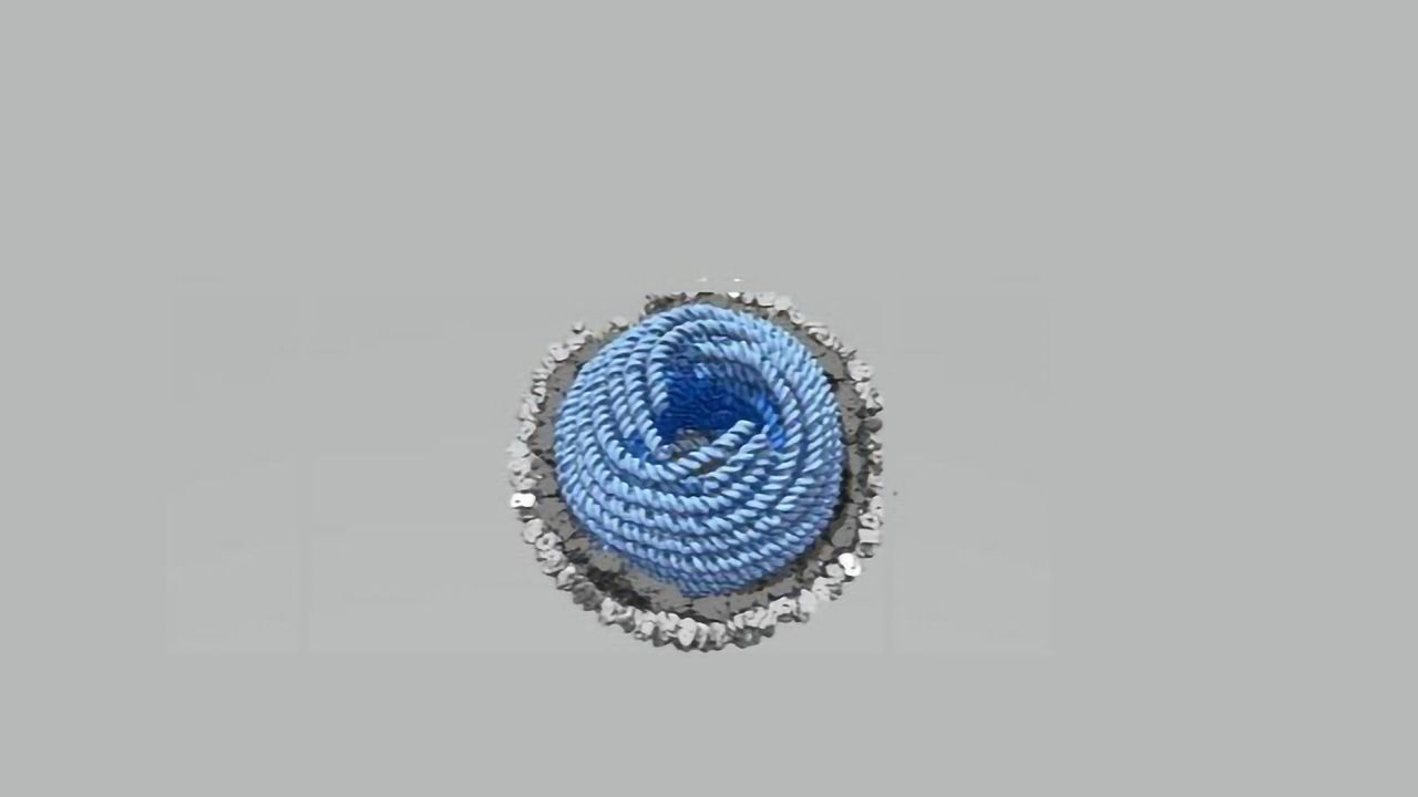 Cryo-EM Reveals How a Virus Packages Its Genome