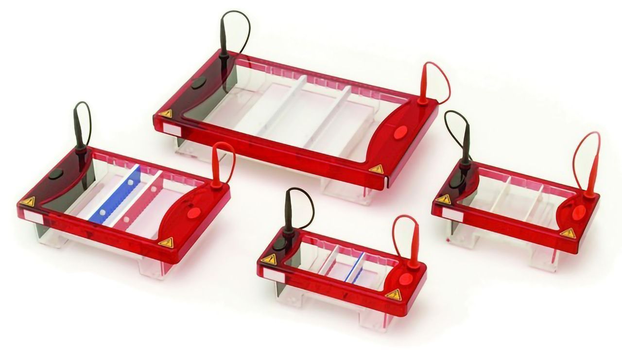NEW Horizontal and Vertical Gel Electrophoresis Equipment Available from Syngene Saves Time and Effort by Producing Perfect Gels for Syngene Imaging Systems