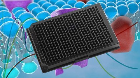 Ultra-Flat Quartz Bottom Microplates