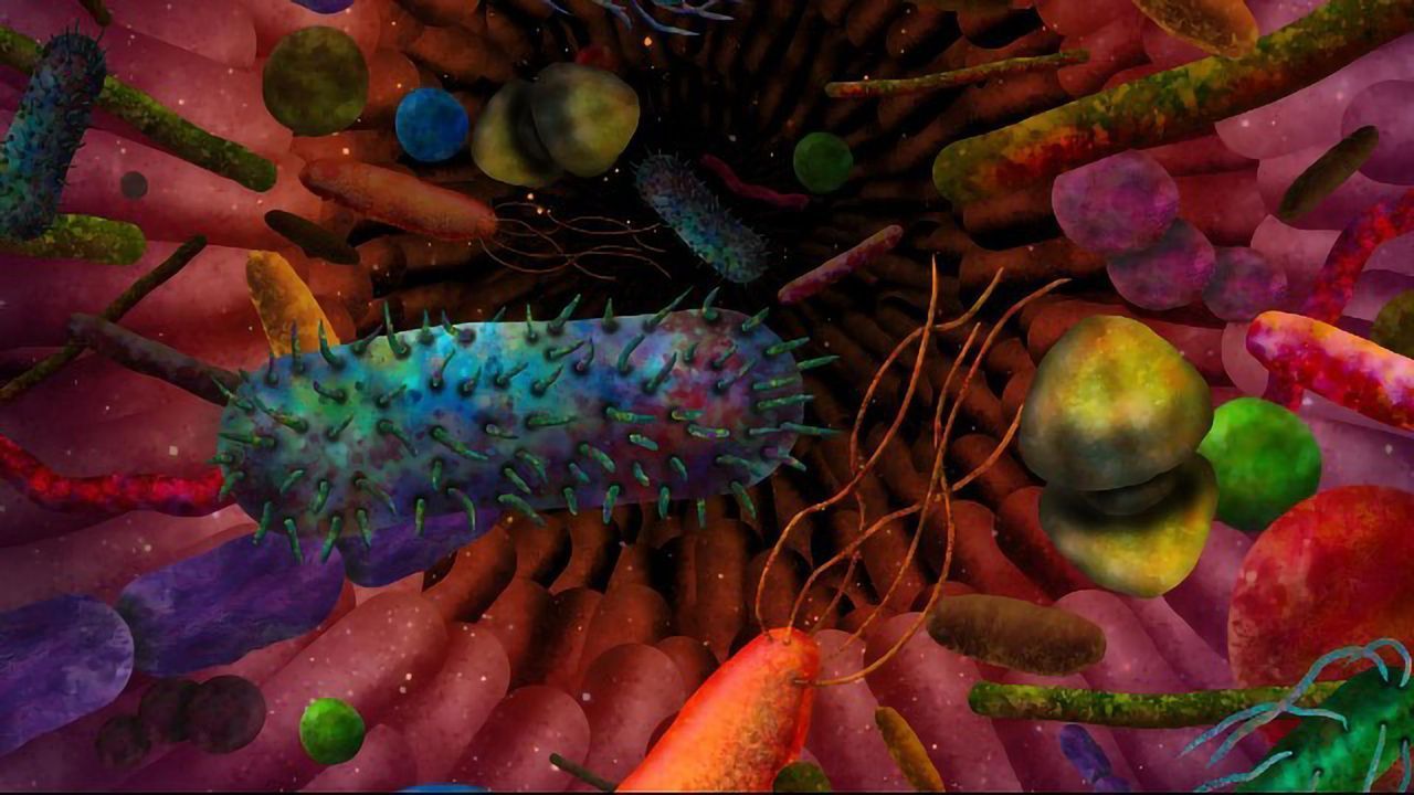 Gut Bacteria Influence Autism-like Behavior in Mice
