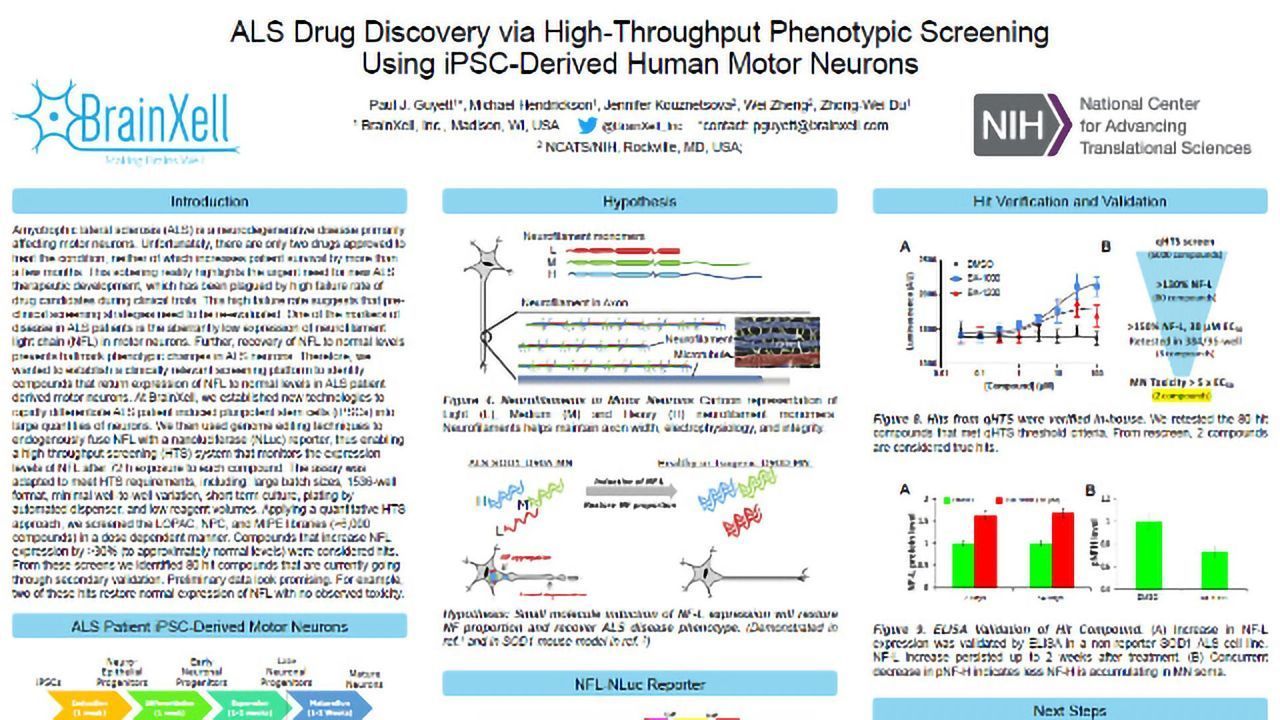 ALS Drug Discovery via High-Throughput Phenotypic Screening Using iPSC-Derived Human Motor Neurons