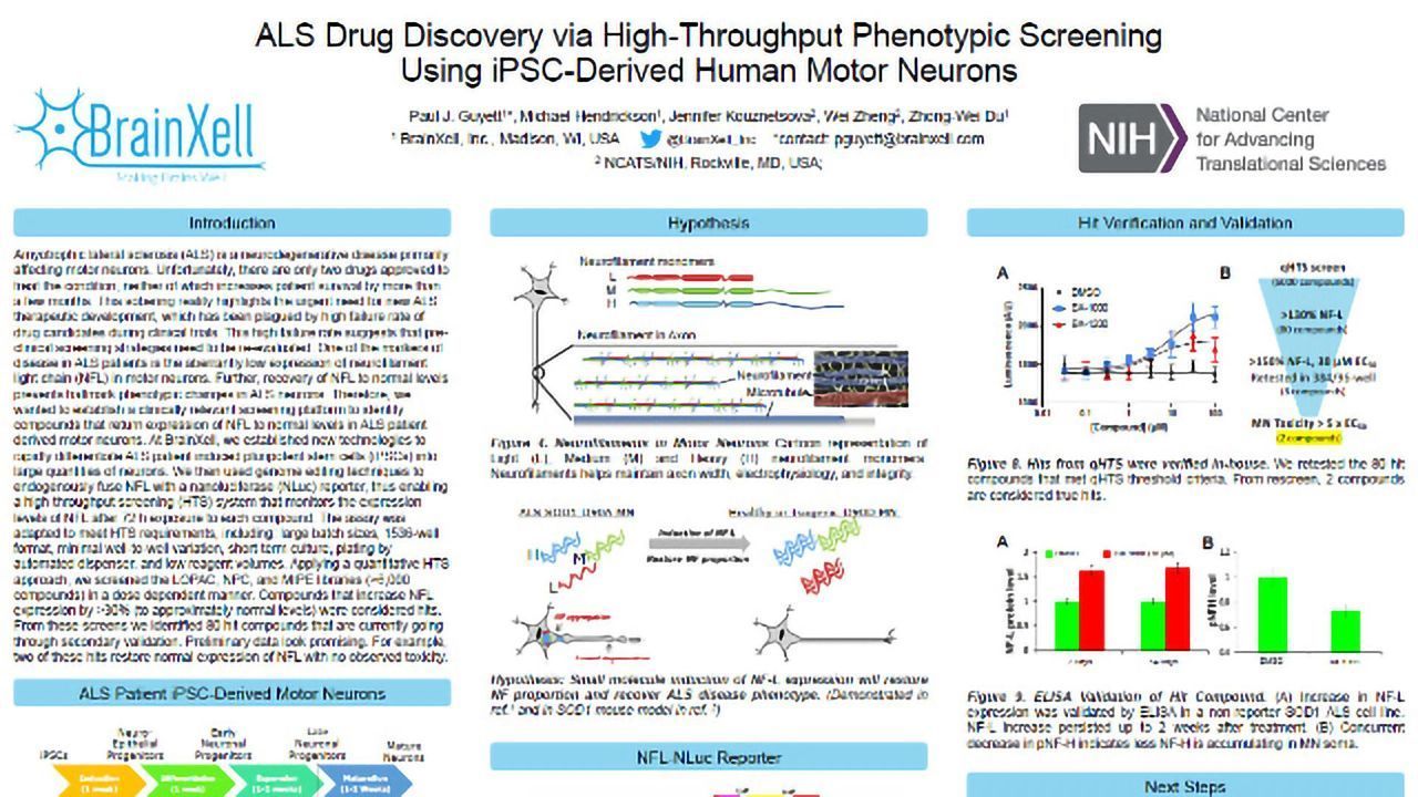 通过使用比利时罗马尼亚比分直播IPSC衍生的人类运动神经元进行高通量表型筛查ALS药物发现