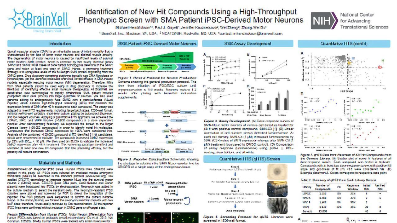 Identification of New Hit Compounds Using a High-Throughput Phenotypic Screen with SMA Patient iPSC-Derived Motor Neurons