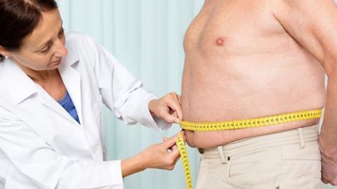 Closely Examining the Role of Fat Storage Cells in Obesity