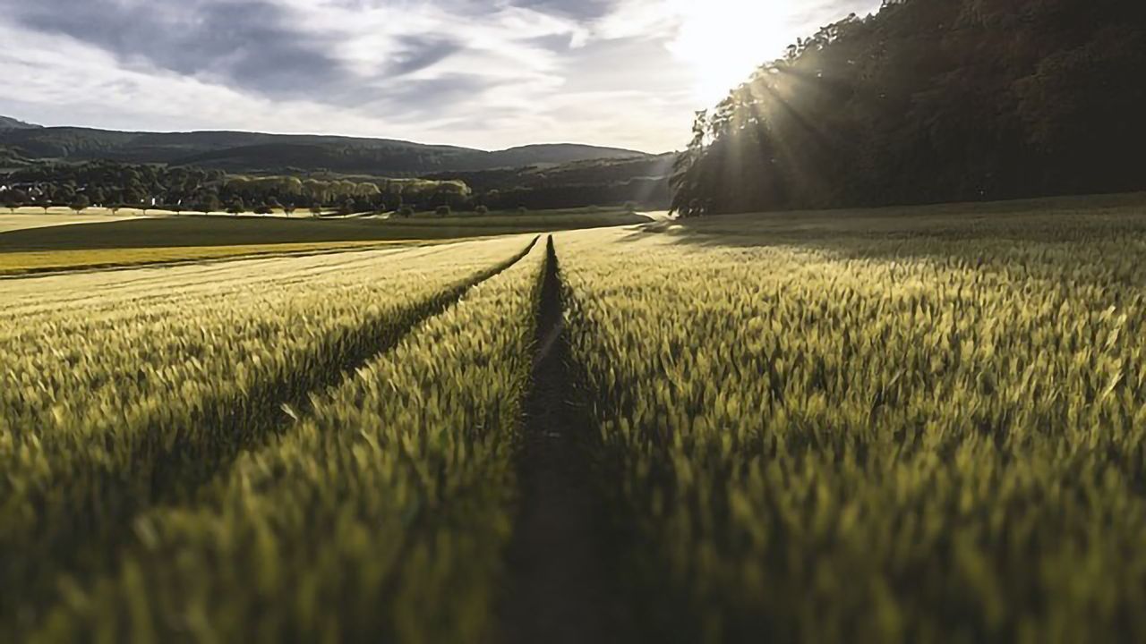Global Food Production Already Suffering From Climate Change