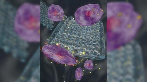 Printing Therapeutics in 3D