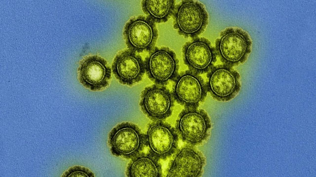 Novel Indicator of Influenza Immunity Identified