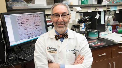 The More Immune Cells a Tumor Can Recruit, the Faster It Grows