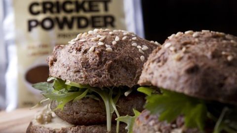 Getting the Best of Both - The Real Future Food Is Lab-grown Insect Meat