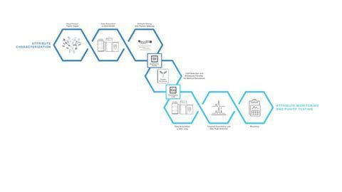 New High-resolution Mass Spectrometry-based Workflow Simplifies Biopharmaceutical Characterization and Quality Control
