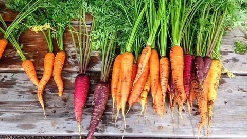 Weeding Out the "Organic" Fraudsters