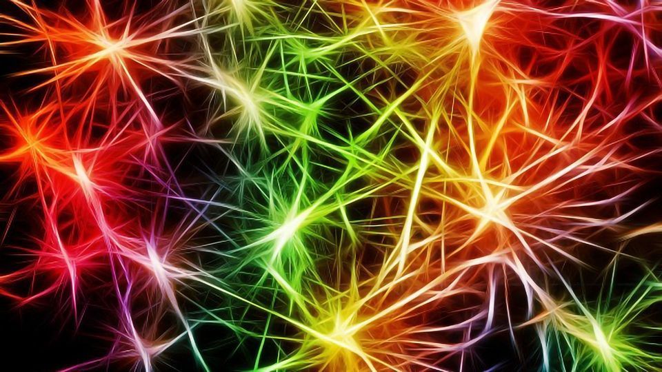 Neurons' 'Antennae' are Unexpectedly Active in Neural Computation content piece image