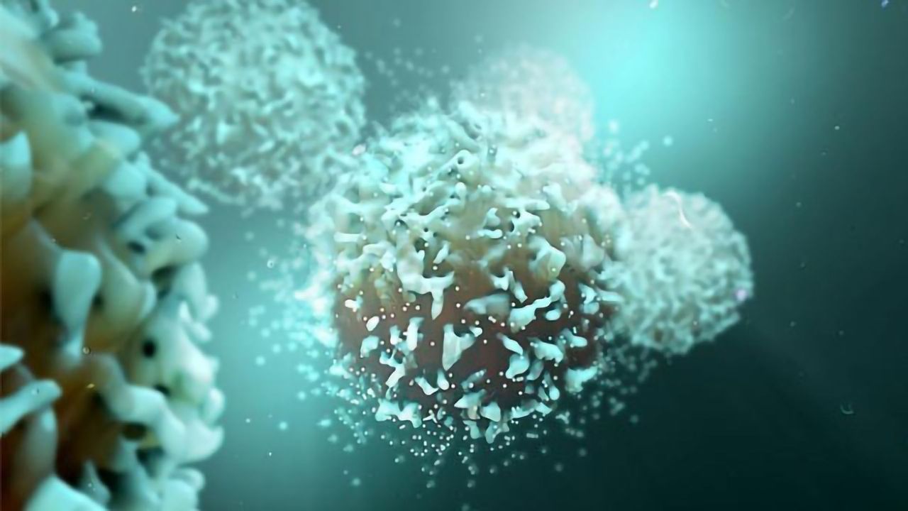 Using Immunotherapy in Cancer Patients Prior to Surgery