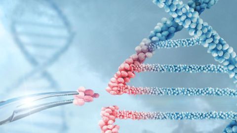 Arbor Biosciencesä Launches CRISPR-Based Mitochondrial DNA Depletion Kits