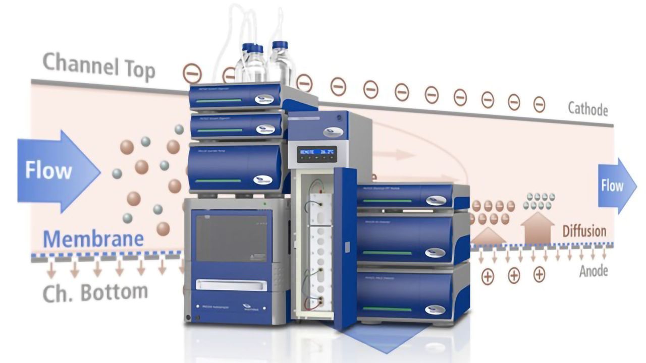 EAF2000 Advances Complex Charged Molecule Studies