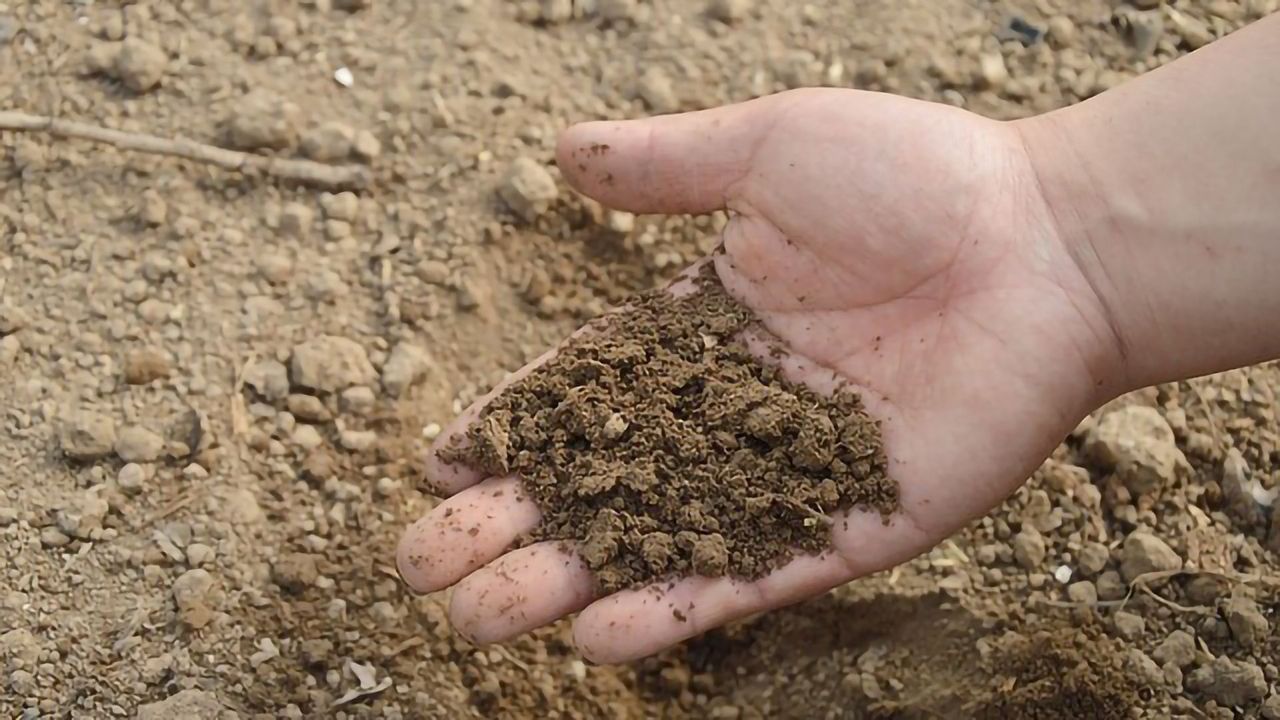 Rinsing Toxic Heavy Metals Out of Polluted Soils