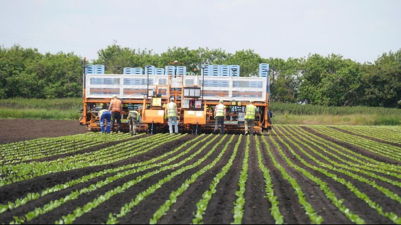 AirSurf Uses AI to Cr-optimize Farm Efficiency
