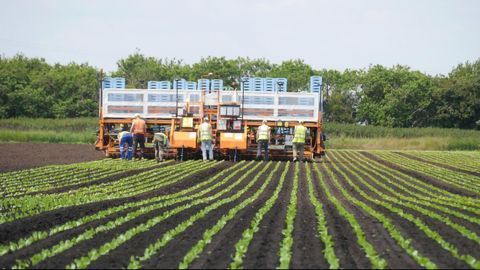AirSurf Uses AI to Cr-optimize Farm Efficiency
