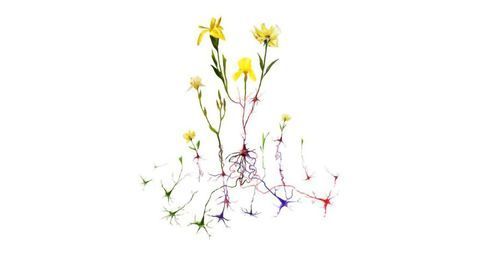 The Brain Forms New Activity Patterns to Enable Learning