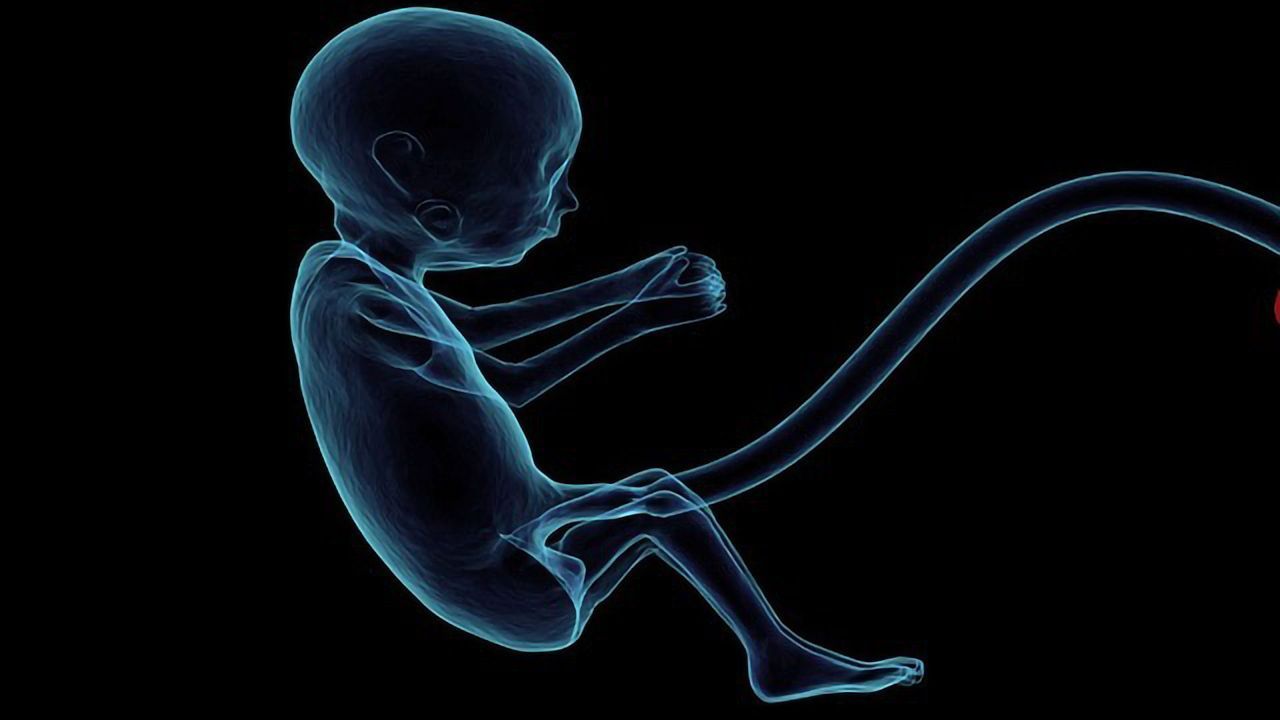 How Undifferentiated Cells Commit to Their Biological Fate