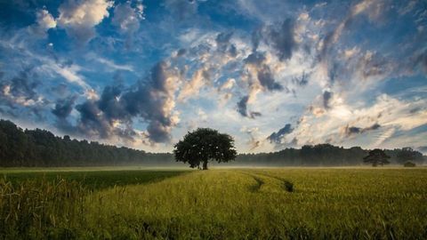 Smart-Farm Project Hopes to Lower Greenhouse Gas Emissions and Boost Farming Efficiency