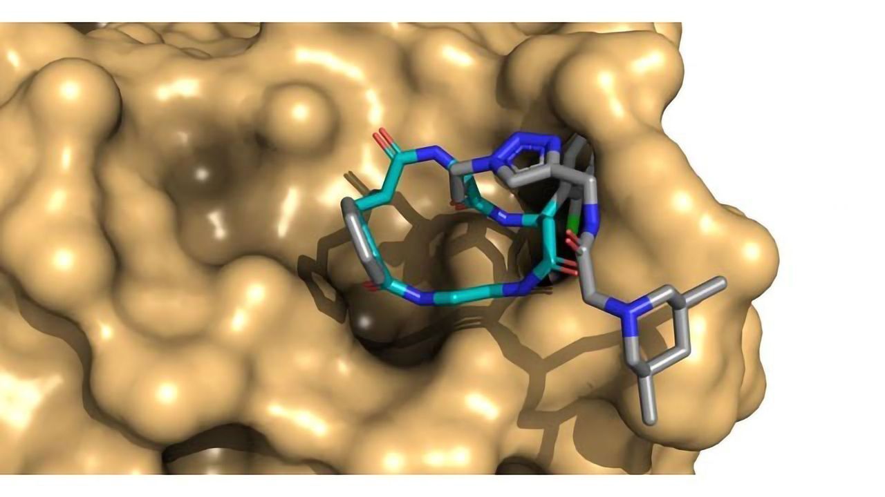 Chemists Synthesize > 1 Million Macrocycles for Drug Discovery