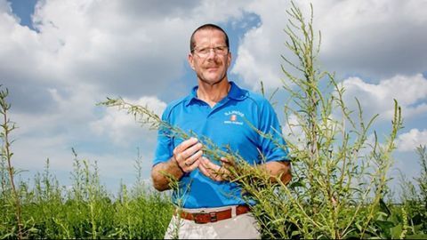 Superweed Becoming More Resistant to Herbicides