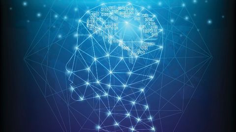 AI Software Reveals the Inner Workings of Short-term Memory