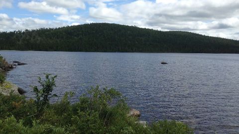 50 Years on and Toxic DTT Still Lingers in Lakes