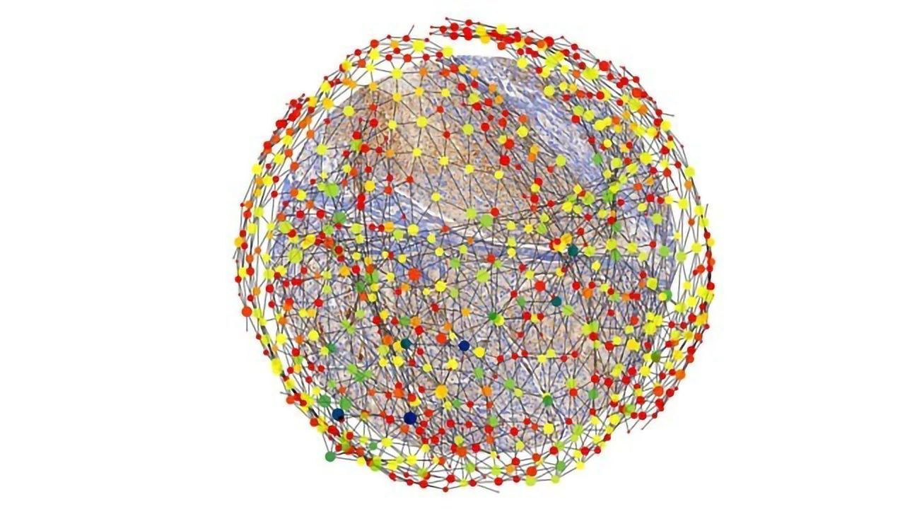 Studying Tumors With Mathematical Tools