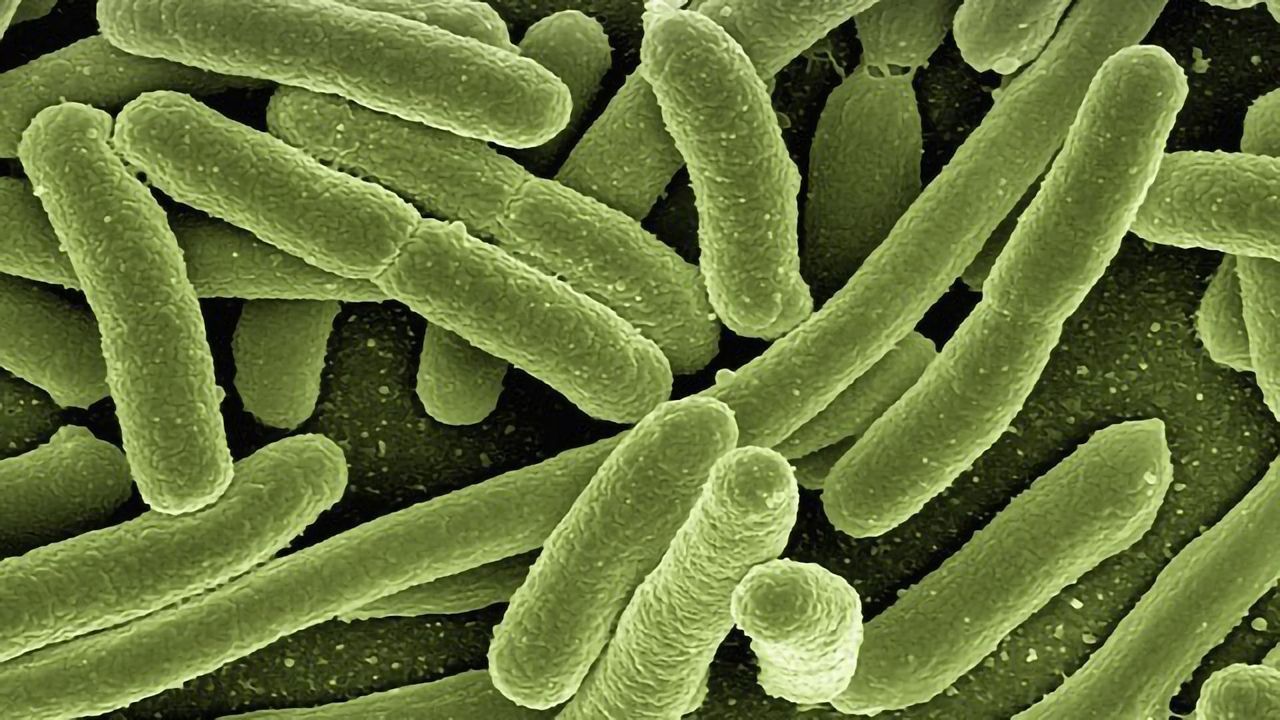 Detecting Bacteria With a "Zap"