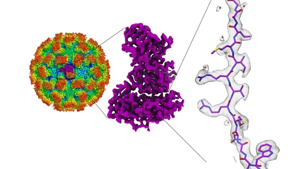 Steps Towards a Vaccine for Food Poisoning
