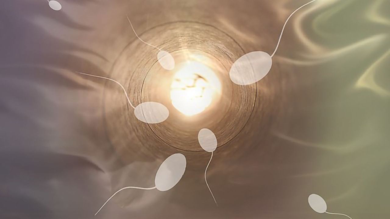 Susceptibility to Endocrine Disruptors May Depend on Your Genes