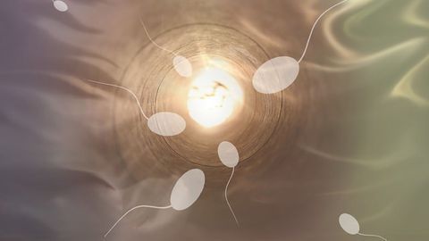 Susceptibility to Endocrine Disruptors May Depend on Your Genes