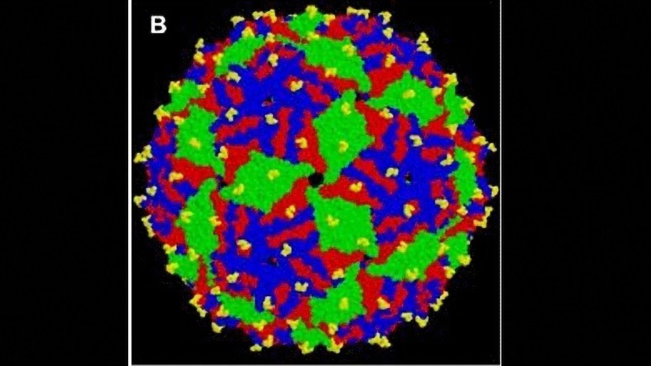 Vaccine Drives Antibodies to Target Tau Tangles in Mice