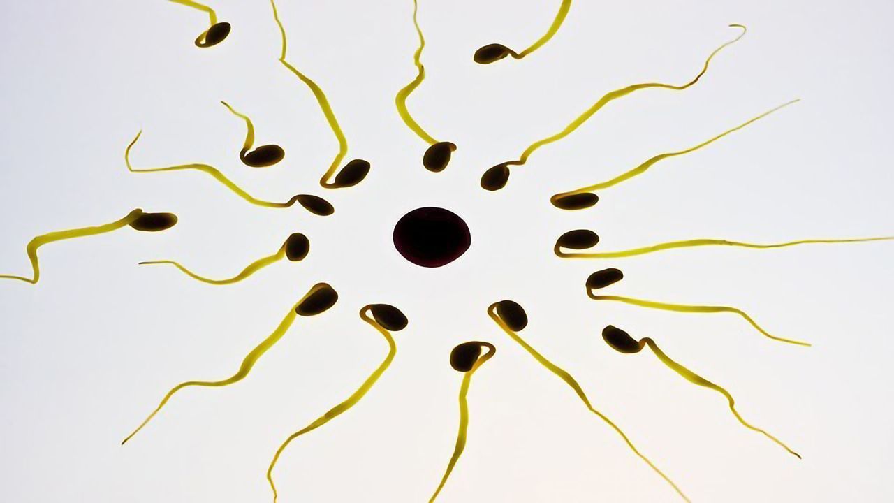 22 Novel Genes Linked to Male Infertility