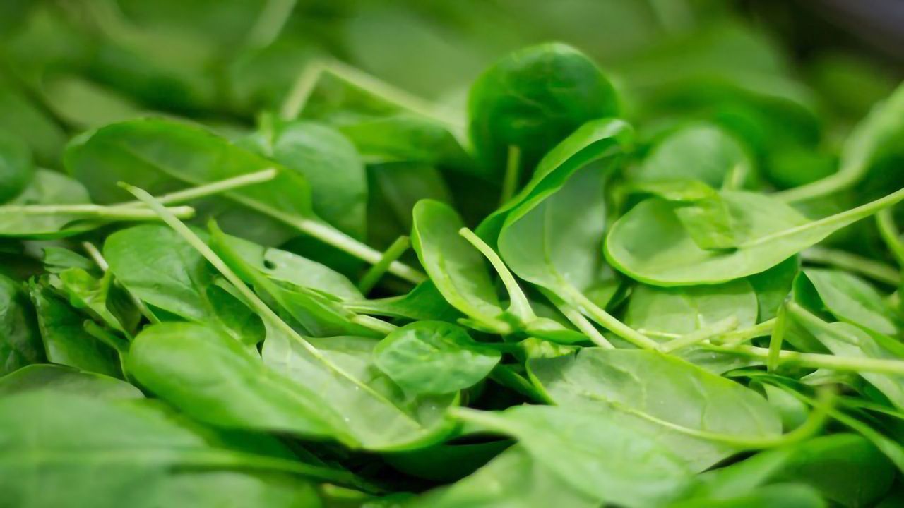 Popeye’s Spinach Prophecy Was Right: Low Vitamin K Linked to Poor Mobility