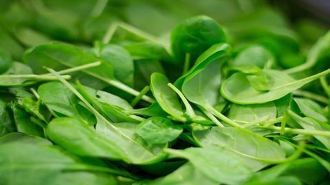 Popeye’s Spinach Prophecy Was Right: Low Vitamin K Linked to Poor Mobility