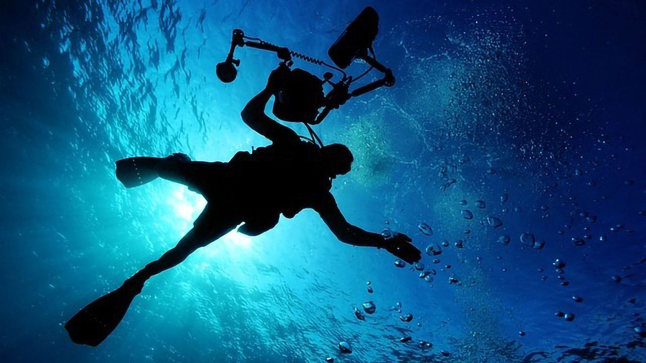 Could Underwater Farms Help Fight Climate Change?