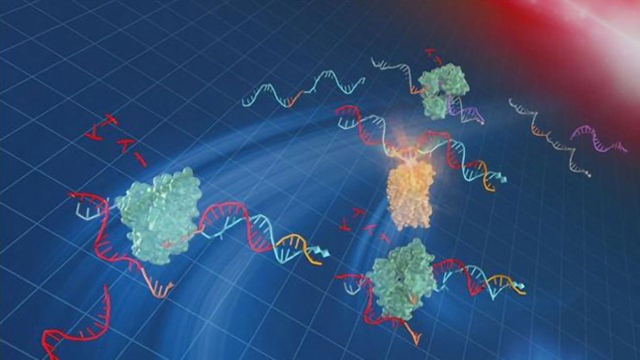 Move Over PCR and Make Way for L-Team