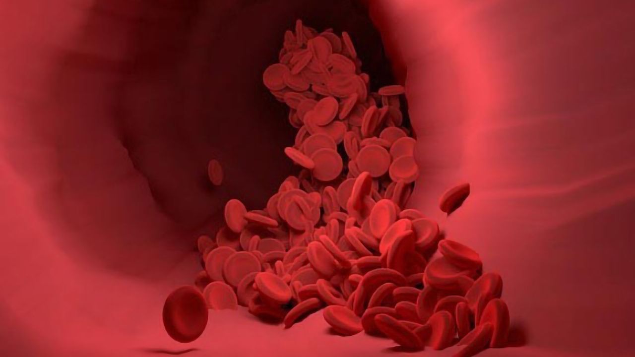 Discovery Could Help Treat People With Cardiovascular Disease