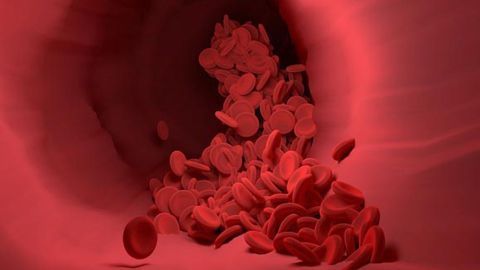 Discovery Could Help Treat People With Cardiovascular Disease